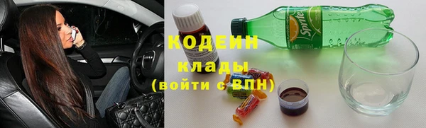 прущие грибы Кукмор