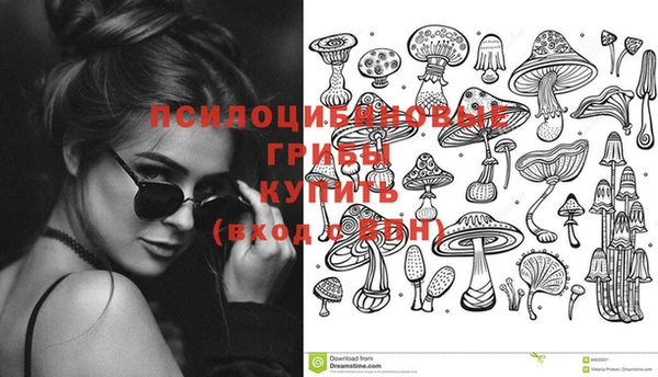 СК Краснослободск