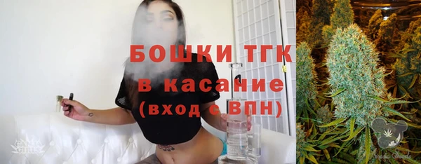 СК Краснослободск