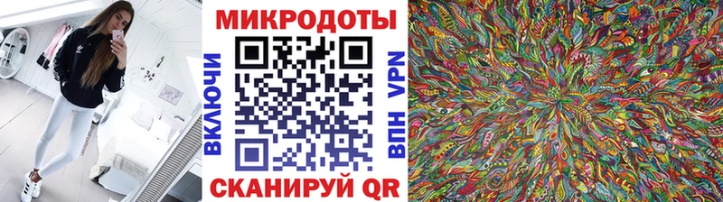 Галлюциногенные грибы мицелий  Купить где  Вольск 